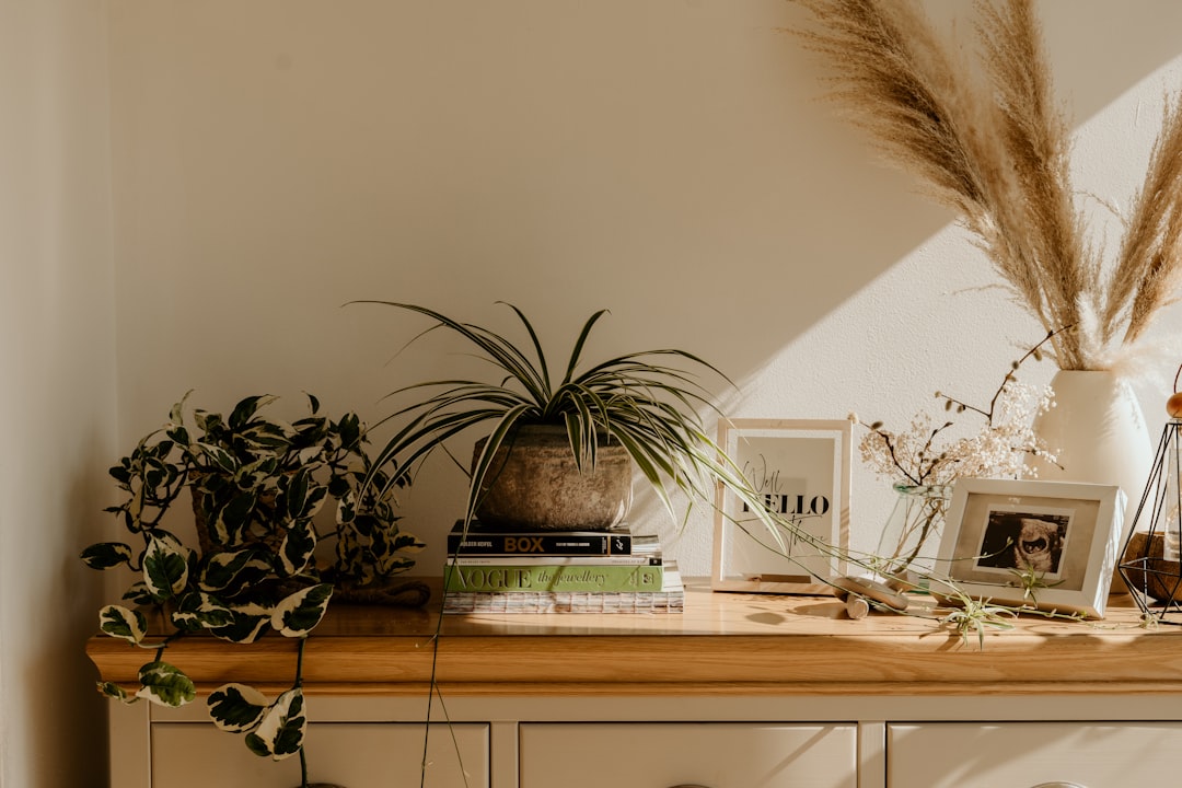Duurzaamheid en Stijl: Hoe Eco-vriendelijke Accessoires uw Interieur Kunnen Verrijken