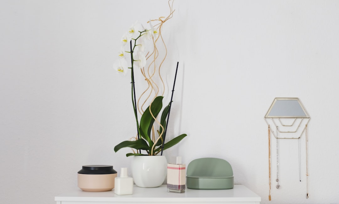 Kunst in Huis: Hoe Uw Woonaccessoires een Persoonlijke Toets Kunnen Geven
